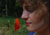 le temps de coquelicots